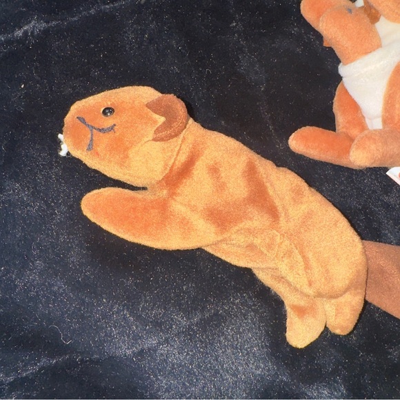 Beanie Babies Plush Toy Collection 19 Total - Picture 5 of 16